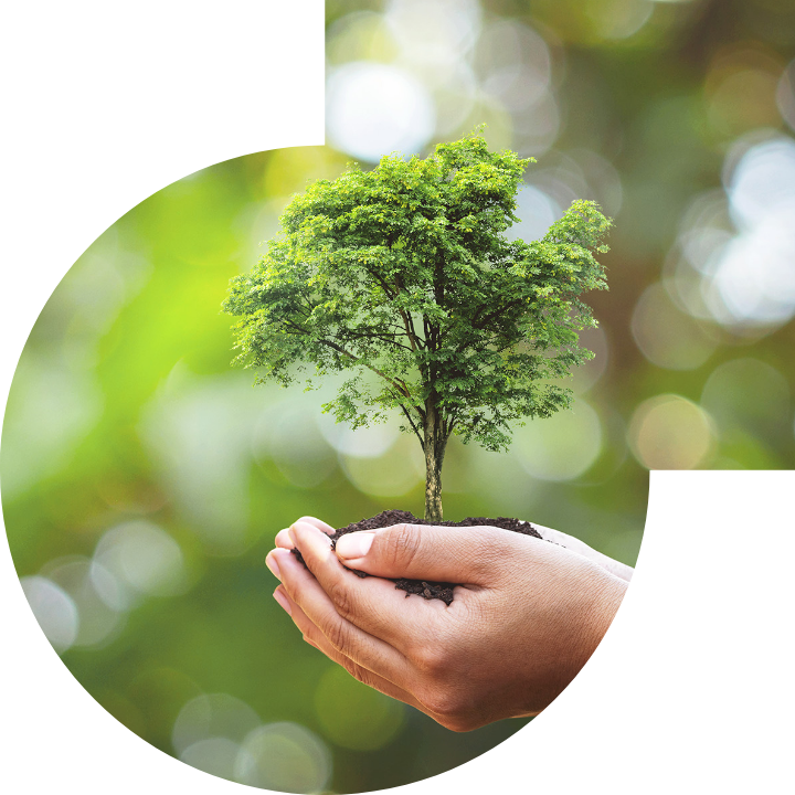 关怀人类、文化、环境与社会